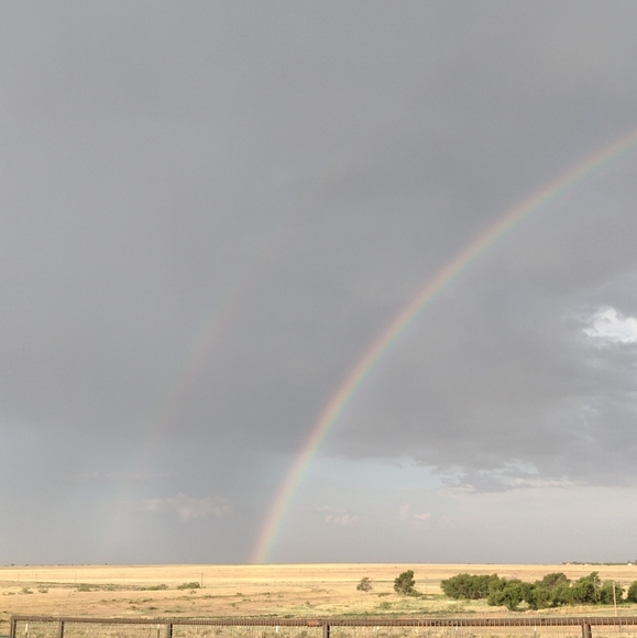 Meet your Posher, Mary Mother of Chickens - Picture 4 of 8